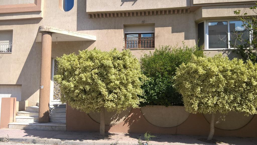 شقة Dar Aloulou تونس المظهر الخارجي الصورة